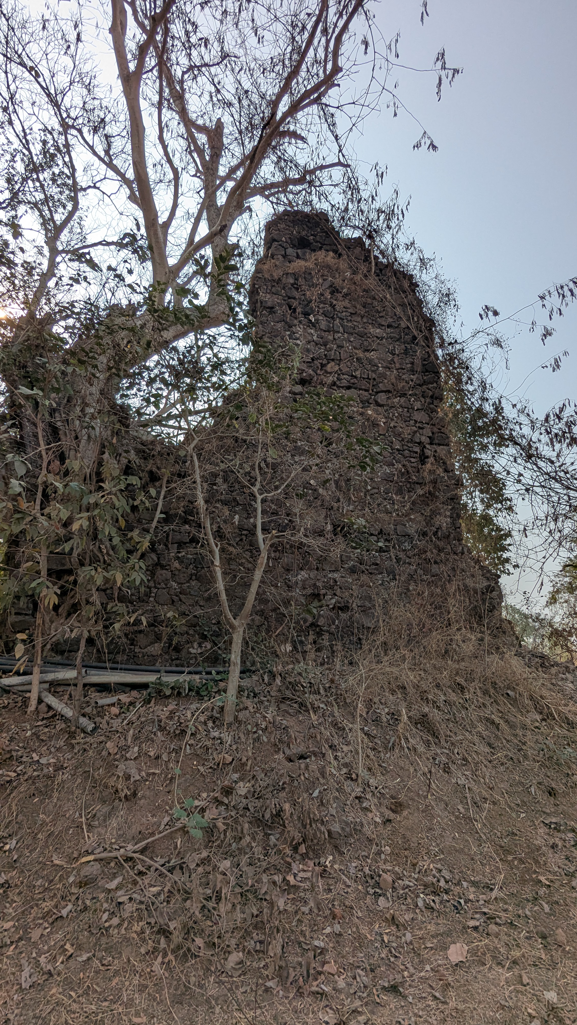 Firang kot